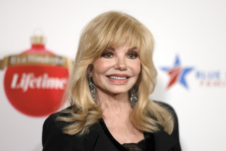 loni anderson net worth